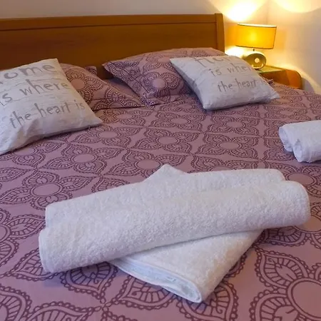 Apartment Branko *