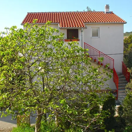 Apartment Branko *